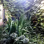 Casa Babica Costinesti