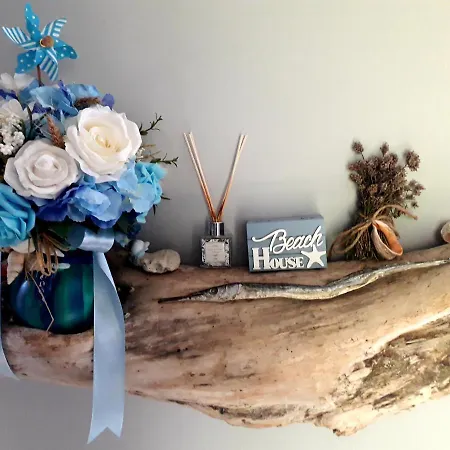 Casa Babica ゲストハウス コスティネシュティ