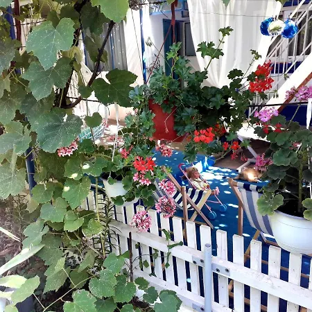Pensiunea Casa Babica 3* Costineşti