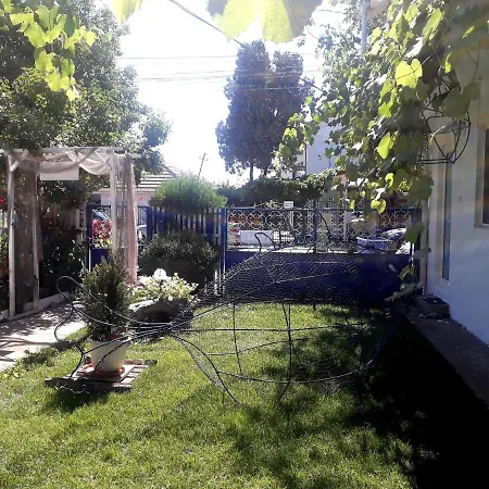 Pensiunea Casa Babica 3*