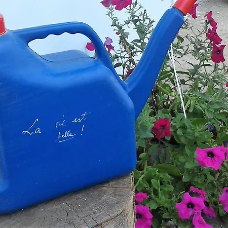 Casa Babica ゲストハウス コスティネシュティ