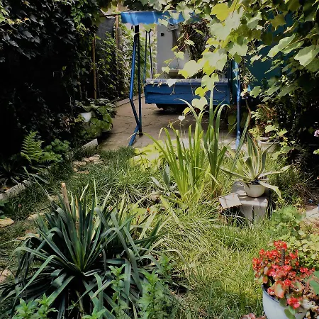 Casa Babica ゲストハウス 3*