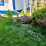 Guest house Casa Babica Costinesti