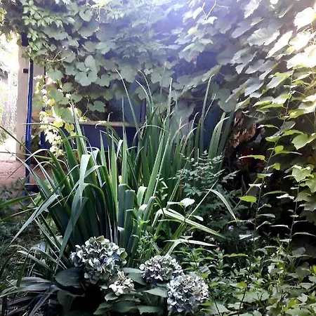 Casa Babica Costinesti