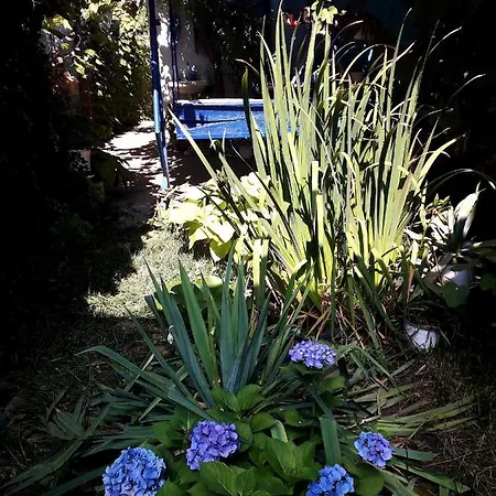 Guest house Casa Babica
