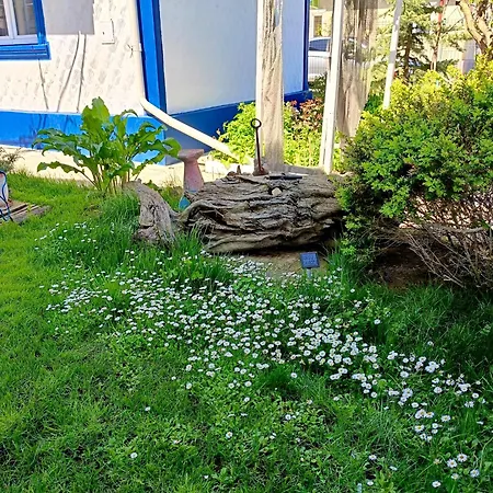 招待所 Casa Babica 科斯蒂内什蒂