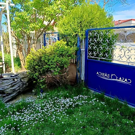 Casa Babica 招待所 科斯蒂内什蒂