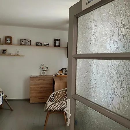 Casa Babica ゲストハウス コスティネシュティ