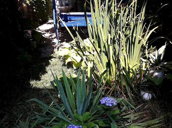 Gæstehus Casa Babica